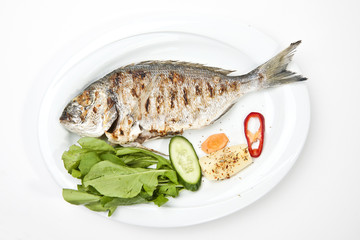 grilled gilthead bream