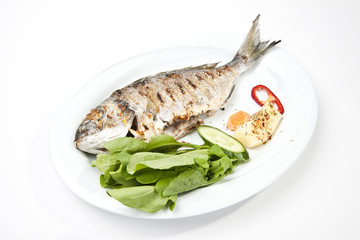 grilled gilthead bream