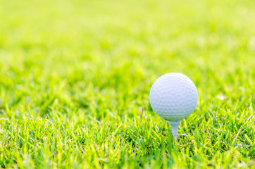 Golf ball on green grass