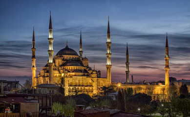 Fototapeta premium Blue Mosque,istanbul,turkey