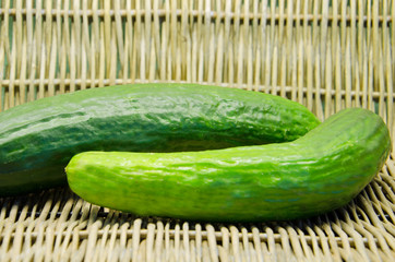 Bio Gurken vom Garten, für Gurkensalat