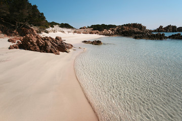 Spiaggia Rosa (Pink Beach) Isola di Budelli