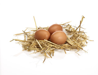 3 Eier im Nest