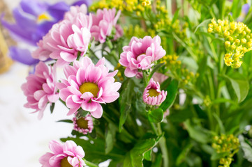 Beautiful spring flowers