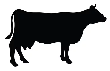 Photo sur Plexiglas Vache Silhouette d& 39 une vache
