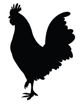 Silhouette of a Cock