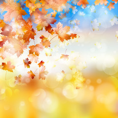 Obraz na płótnie Canvas Autumn background with maple leaves. EPS 10