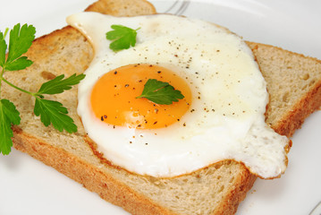 Toast with fried egg and parsley on a white plate