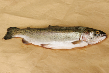 Raw rainbow trout on brown fishmonger's paper