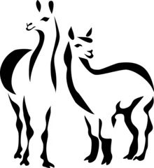 Foto auf Alu-Dibond stylized llama © bokononist