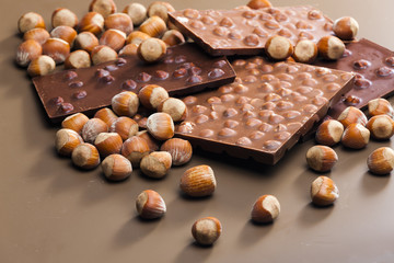 chocolate bars with hazelnuts