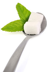Feuilles de stévia et carrés de sucre