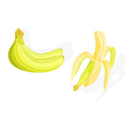 Three bananas and one half-the peeled vector illustration