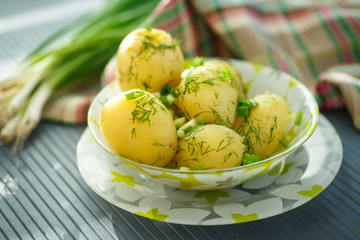 Obraz na płótnie Canvas boiled potatoes