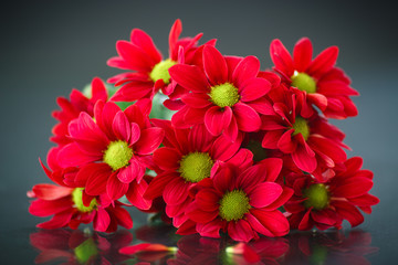 beautiful bouquet of red chrysanthemums