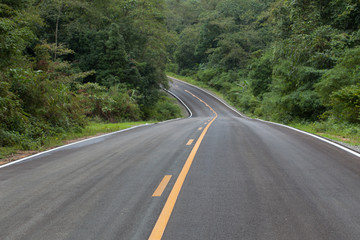 Fototapeta na wymiar The road through the rainforest