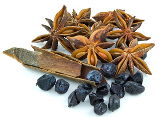 star anise ,barberry ,cinnamon,  on white background