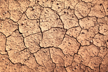 Cracked soil background