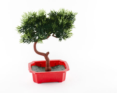 Plastic Bonsai in red pot on white background,isolated