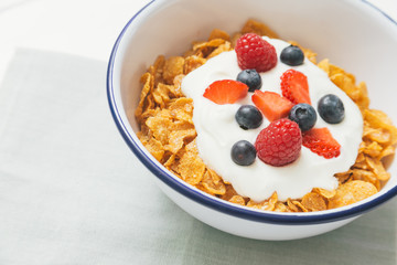 Healthy breakfast with cereals and berries in an enamel bowl