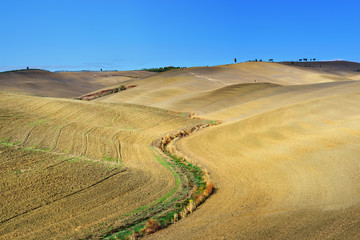 Tuscany rural landscape
