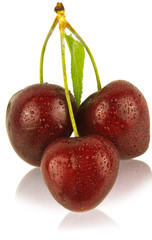 cerises