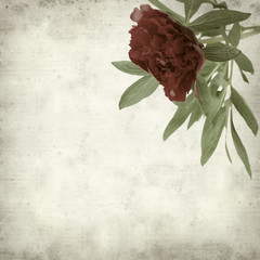 textured old paper background