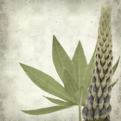 textured old paper background