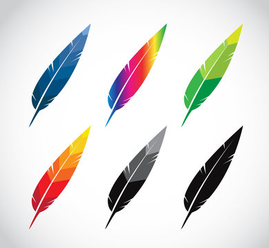 Vector group of feather
