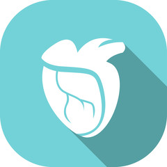 Medical Flat Icon