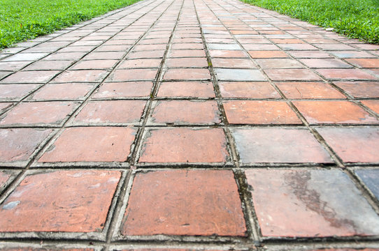 Clay Tiles Walkway and grass