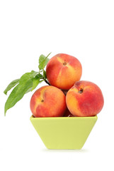pêche