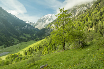 Naturlandschaft in den Alpen