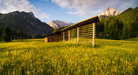 Fototapeta Alpejska łąka obraz