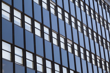 Rows of many office building windows in frames