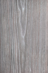 apricot wood texture, tree background, natural rural tree backgr