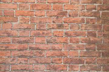 sunlit red brick wall background