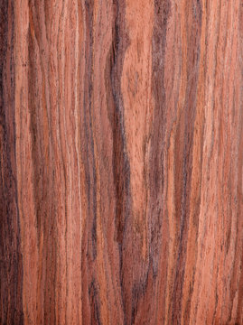 walnut, wood grain, natural rural tree background