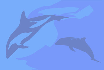 Dolphin Background