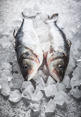 Sea bass on ice