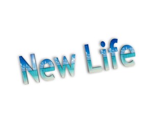 new life