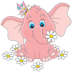 Pink baby elephant sitting among white daisies