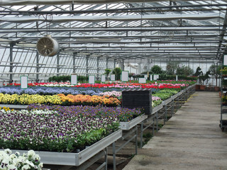 Greenhouse