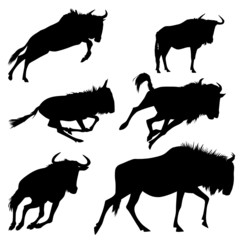 Gnu Set