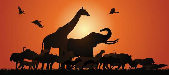 Tiere Afrikas © frilled_dragon