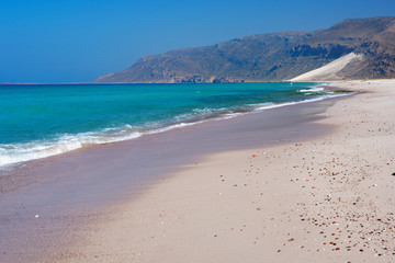 Socotra  Delisha