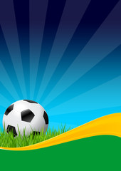 Fototapeta premium Soccer Ball