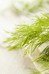 Organic Green Dill Herb