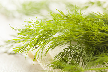 Organic Green Dill Herb
