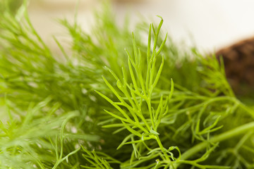 Organic Green Dill Herb